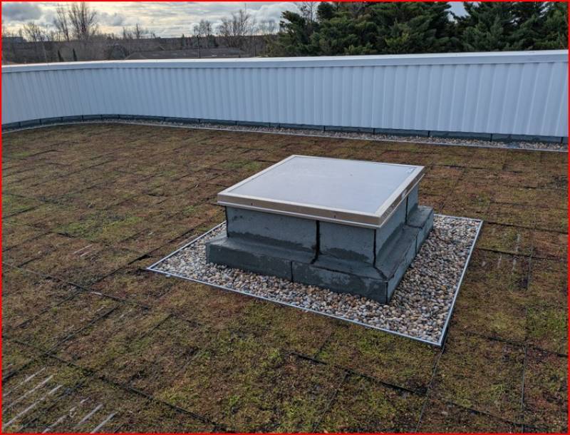 Réalisation d’une terrasse végétalisée sur terrasse béton à Pierrelatte dans la Drôme