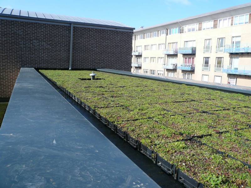 Etanchéité de l'école Neptune à TOULON 83 système iso étanche avec bacs végétalisés
